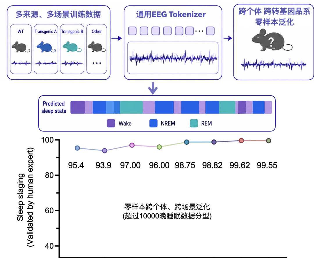 Tsinghua & BAAI Collaboration Published in Science: Brainμ Multimodal Foundation Model Reveals Ne… — figure 5